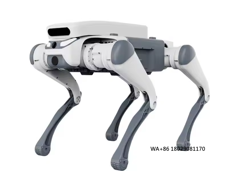 Remote Control Toys - Dublê de controle remoto brinquedo educativo